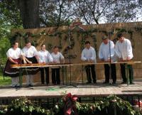 Abajka Citera Zenekar